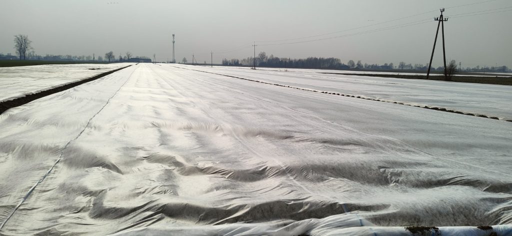 Comparing AGRIMPEX Crop Covers for Different Frost-Protection Requirements