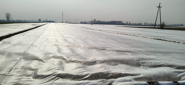 Comparing AGRIMPEX Crop Covers for Different Frost-Protection Requirements